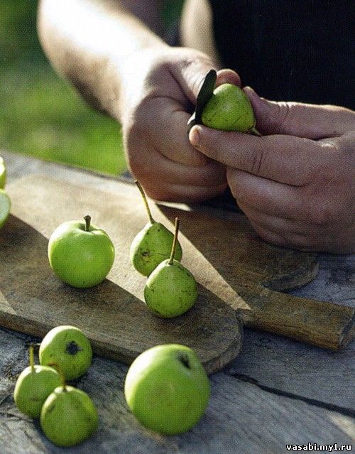 яблоки и груши