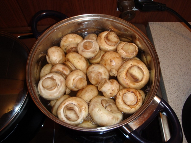 мясо в сырном соусе