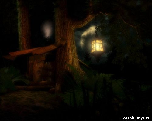 screensaver Ночной лес